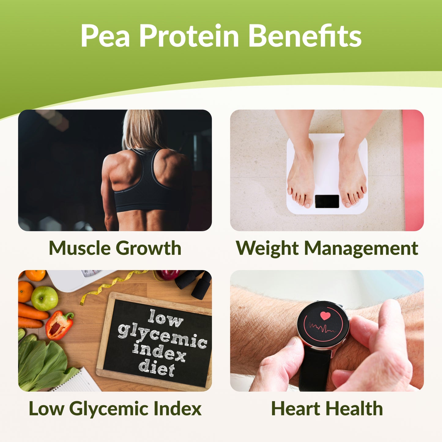 Pure Pea Protein Powder