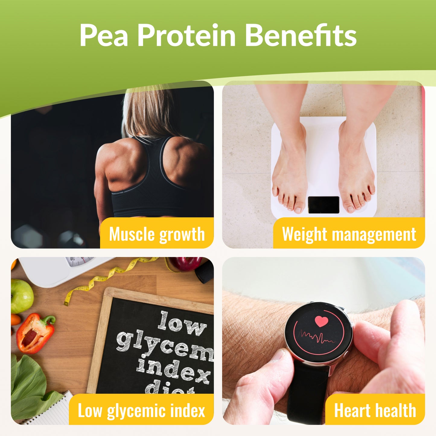 Pure Pea Protein Powder